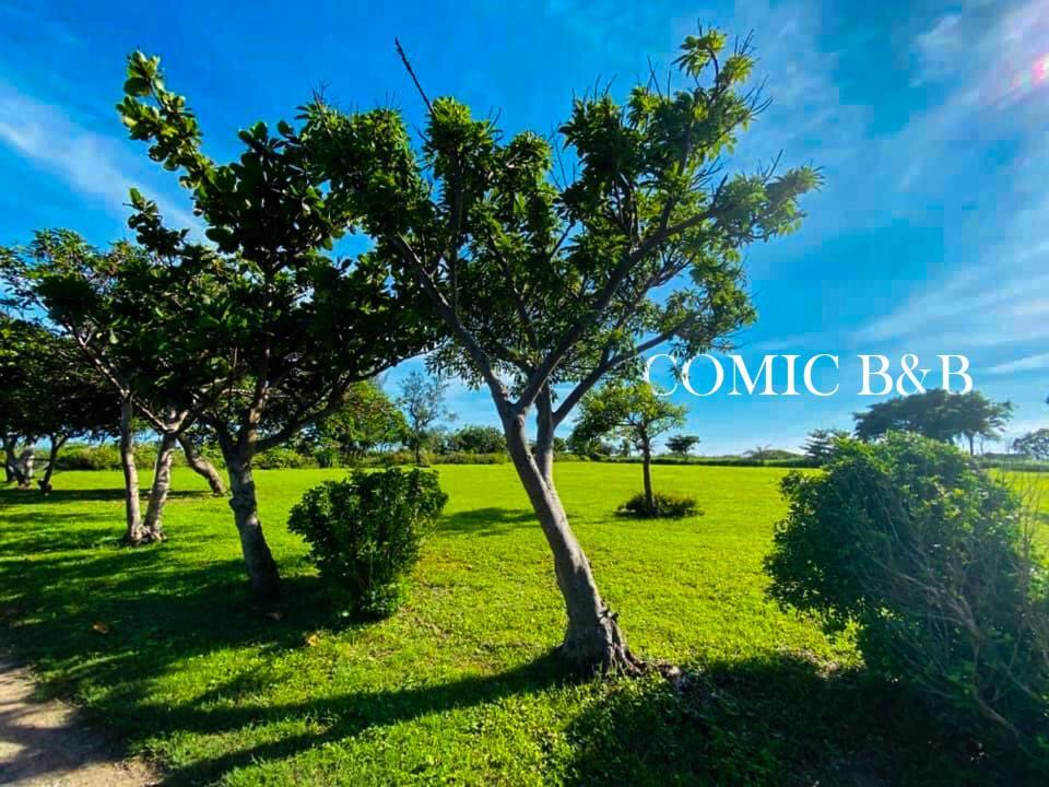 Kenting Comic B&B&Spring Heng-ch'un Exterior foto