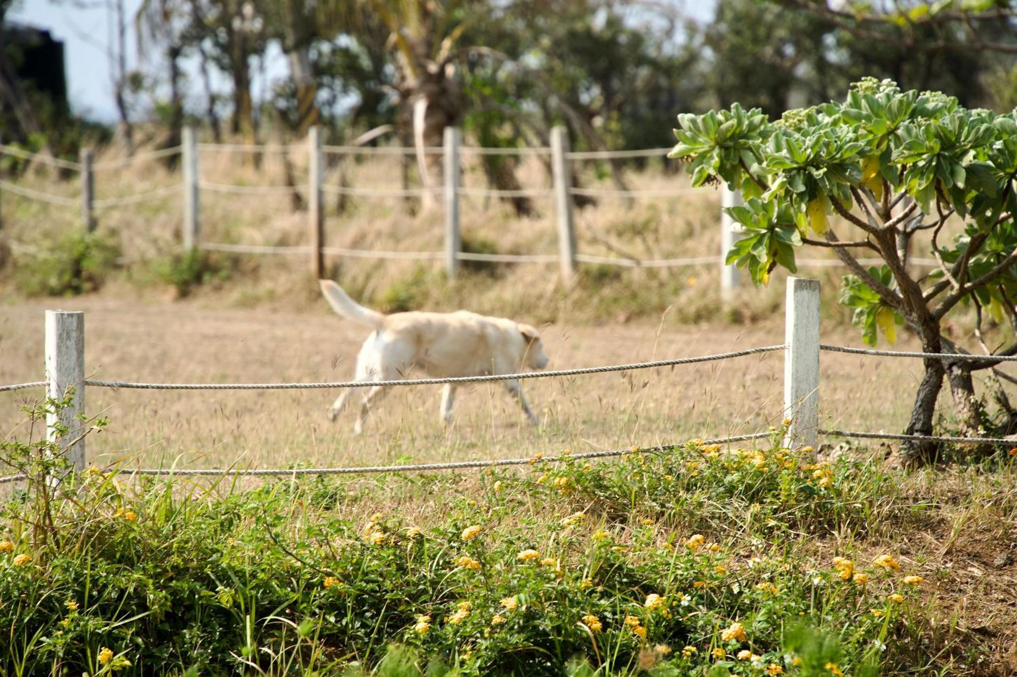 Kenting Comic B&B&Spring Heng-ch'un Exterior foto